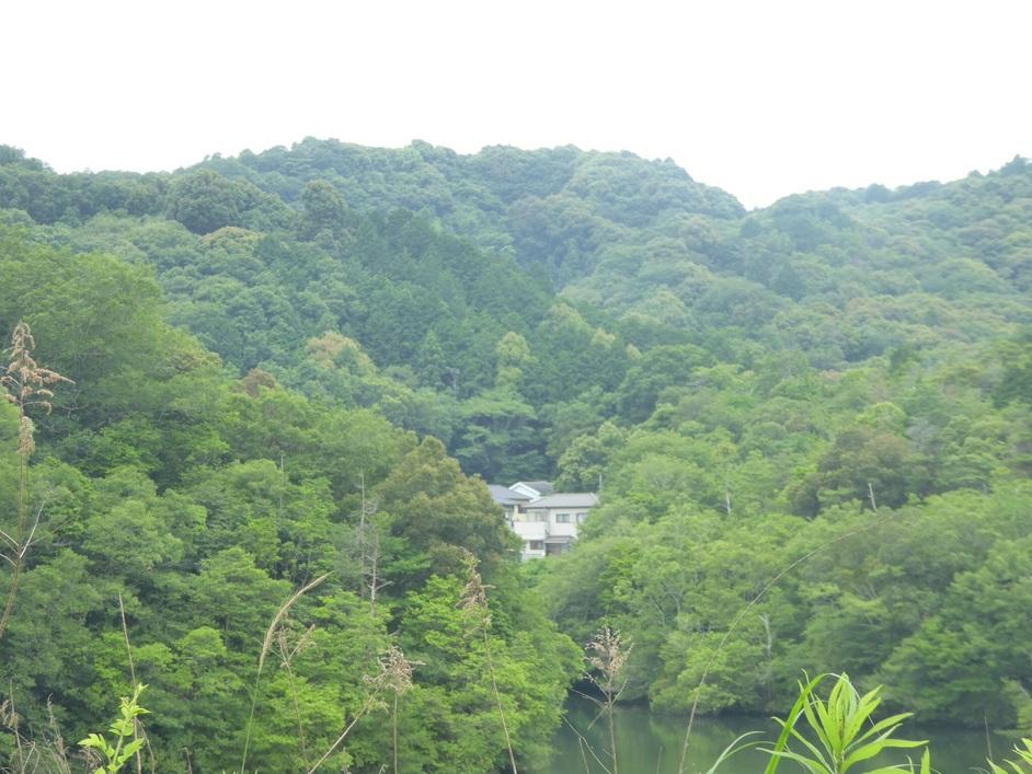 寺中城