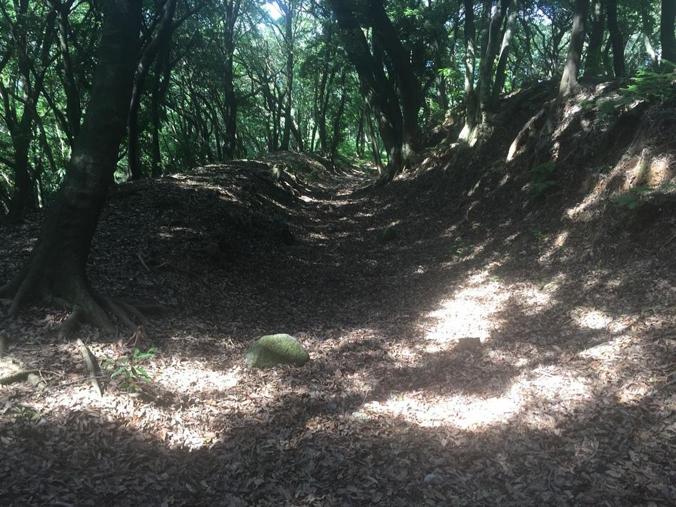 勝尾城筑紫氏城館