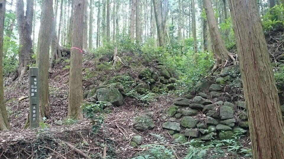 有智山城