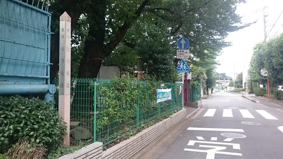柏の城