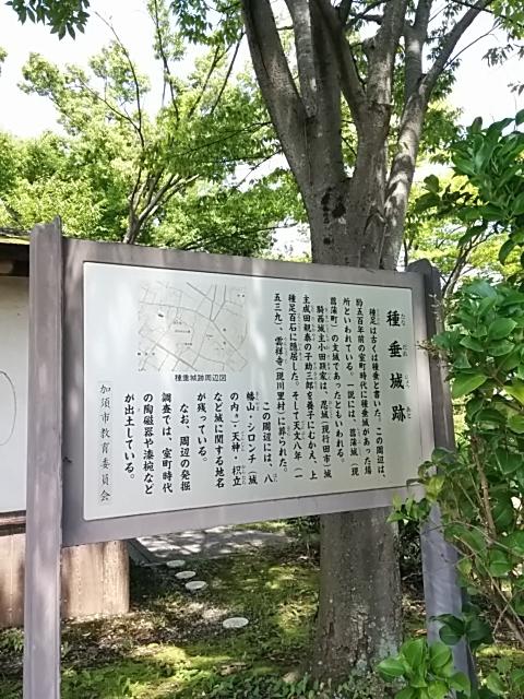 種垂城