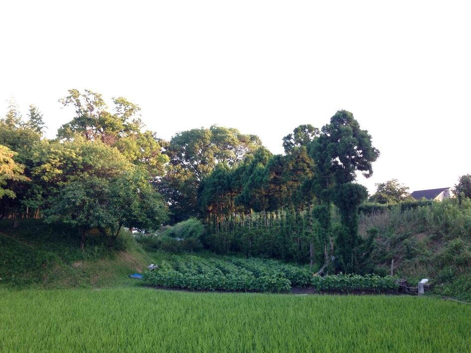 交野城