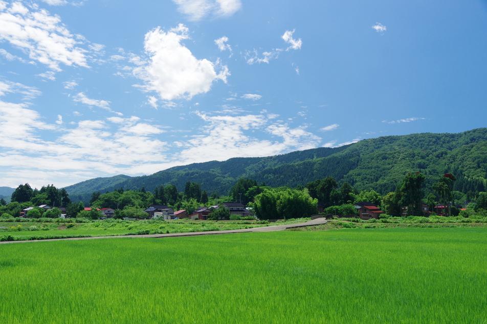 上条城