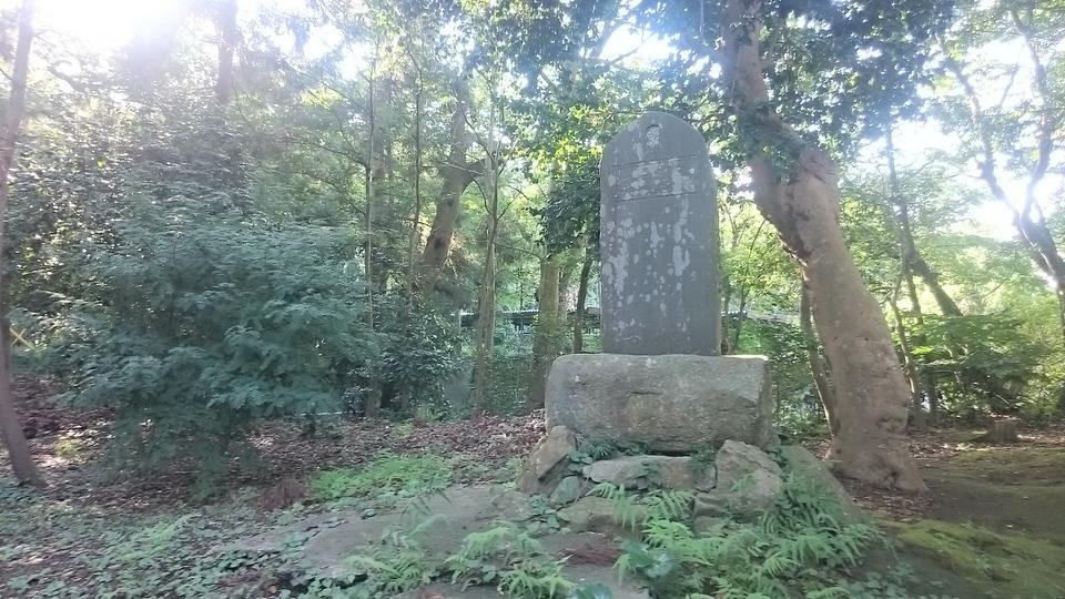 大台城