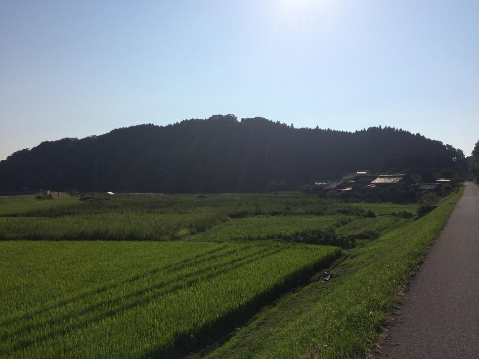 笹山城