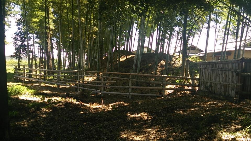 庁鼻和城