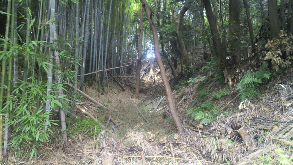 窪之庄城