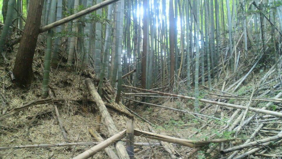 窪之庄城