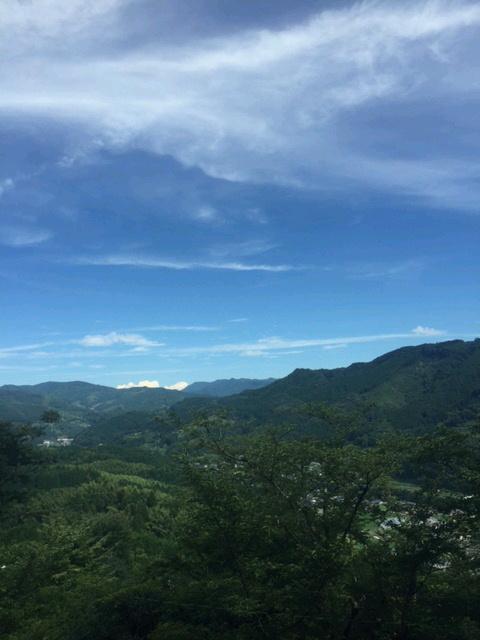 猫尾城