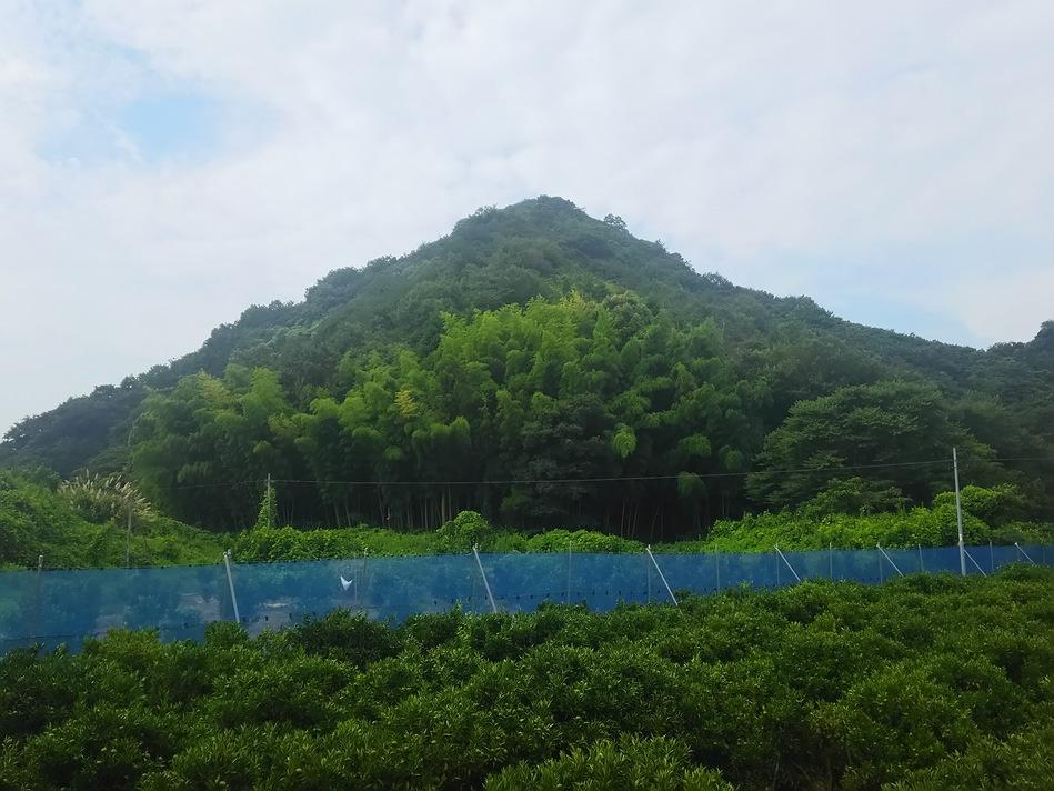 本山城