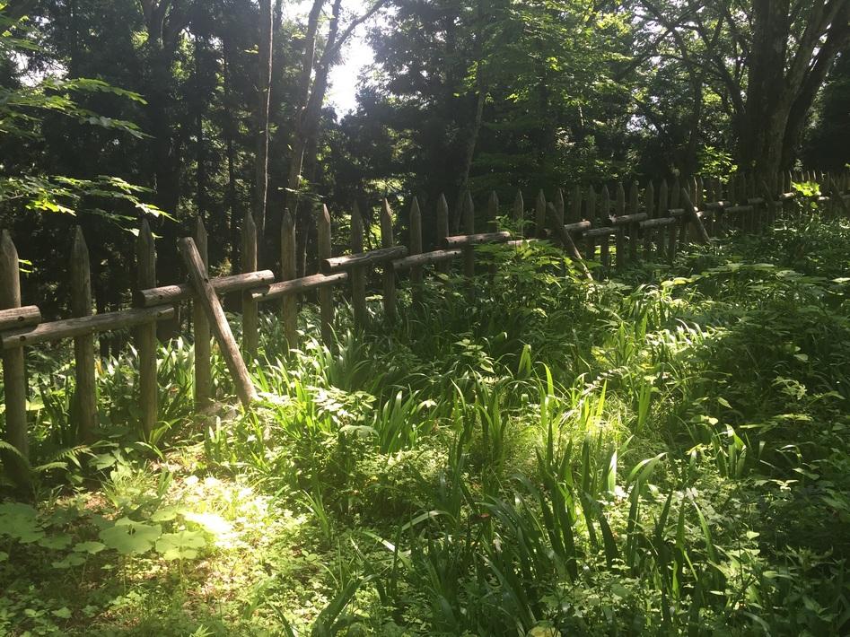長谷堂城
