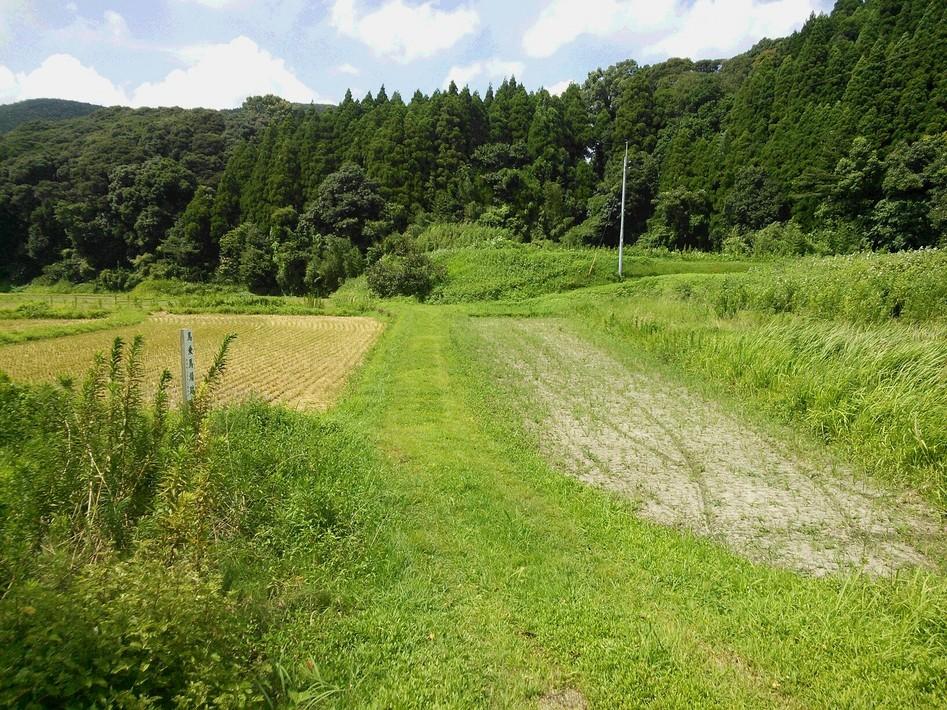 高山城