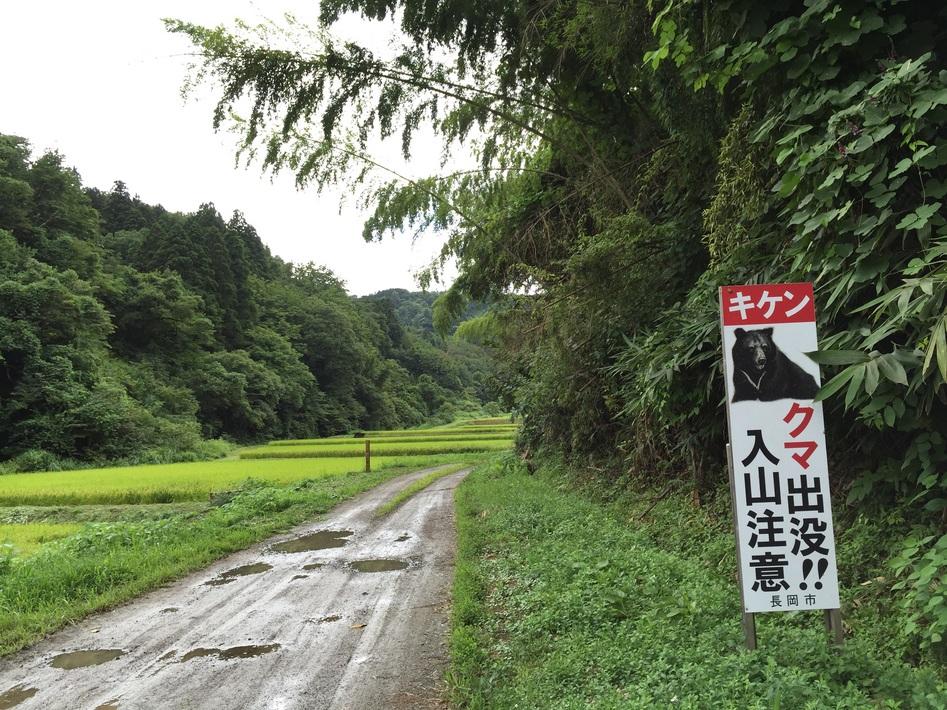 桝形城