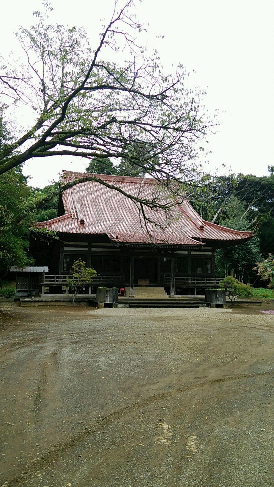 中野城