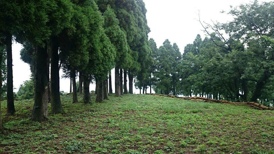 今石動城