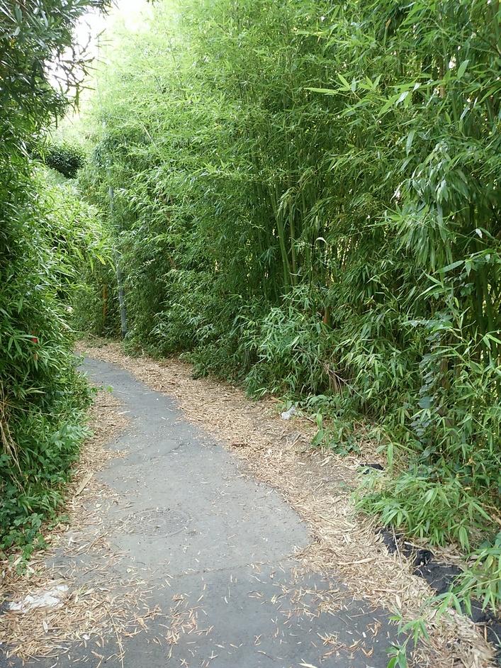 公所ほんの内屋敷