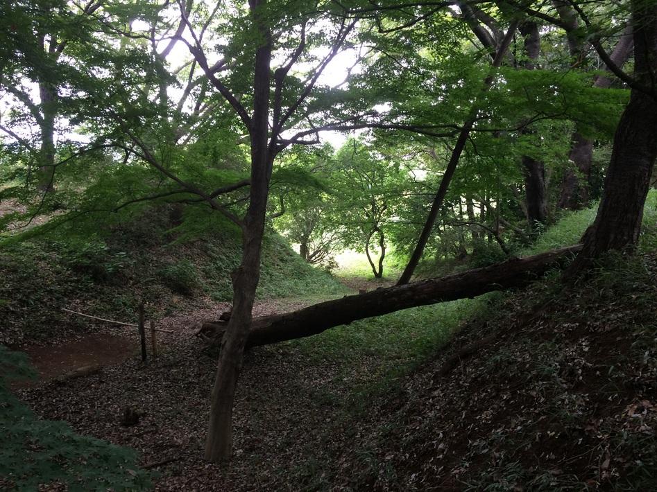 沢山城