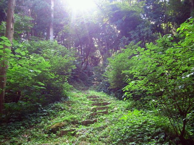 内山城